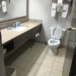 Photo of Holiday Inn Express & Suites Ridgeland - Jackson North Area