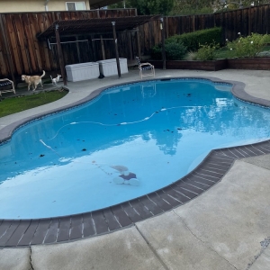 Photo of Peninsula Pool & Spa
