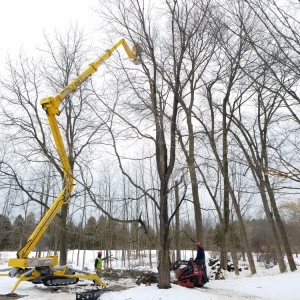 Photo of Crawford Tree & Landscape Services