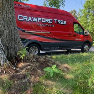 Photo of Crawford Tree & Landscape Services