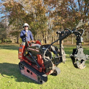 Photo of Crawford Tree & Landscape Services