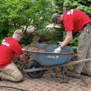 Photo of Crawford Tree & Landscape Services
