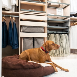 Photo of The Tailored Closet of North San Antonio