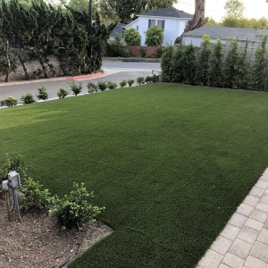 Photo of Brian's Landscaping & Junk Removal