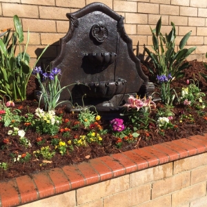 Photo of Brian's Landscaping & Junk Removal