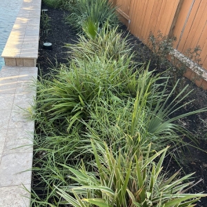 Photo of The Hive Landscaping and Design