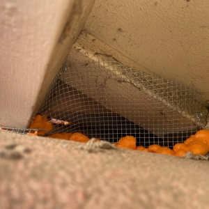 Photo of Attic Aid