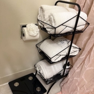 Alexandria Gold Star Maids