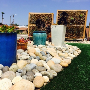 Photo of Growing Landscapes