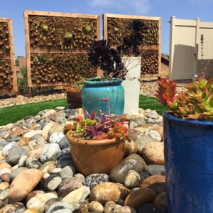 Photo of Growing Landscapes