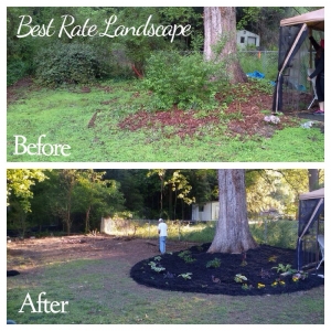 Photo of Best Rate Landscape Design