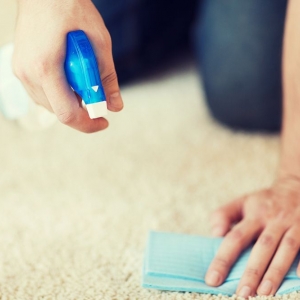 St. Augustine Pete's Carpet Cleaners