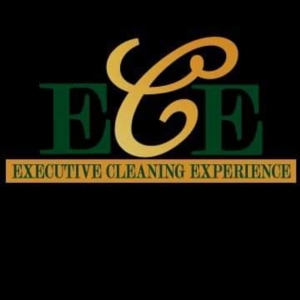 Photo of Executive Cleaning Experience