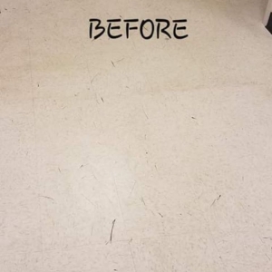 Photo of Executive Cleaning Experience