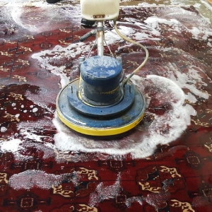 Photo of Rug Masters