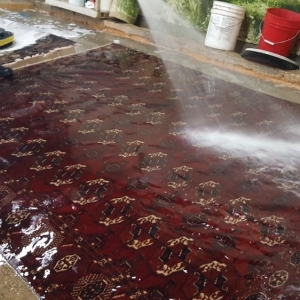 Photo of Rug Masters