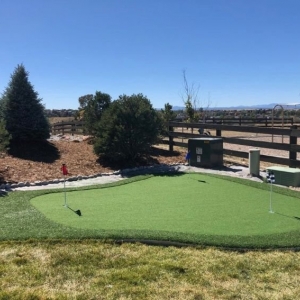 Castle Rock Purchase Green Artificial Grass