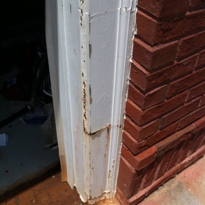 Photo of Forsyth Exterminating
