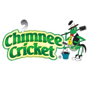 Photo of A Chimney Cricket