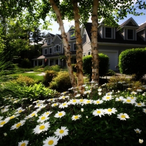 Photo of Blue Meadow Properties