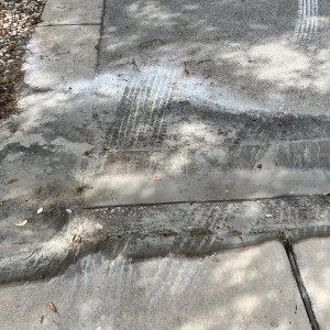 Photo of Real Clean Pools