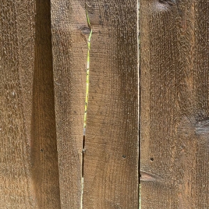 Photo of Ft Worth Fence And Patio