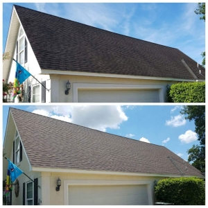 Photo of Louisville Window Cleaning