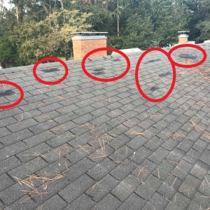 Photo of Florida Roof and Solar Contractors