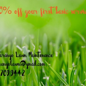 San Antonio M Tarango Lawn Maintenance