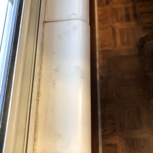 Photo of Crazy Clean