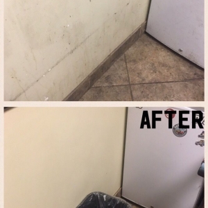 Photo of Crazy Clean