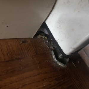 Photo of Crazy Clean