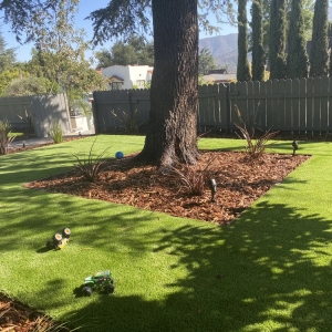 Los Angeles Joaquin's Landscaping