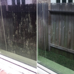Miami Ocean Professional Window Cleaning