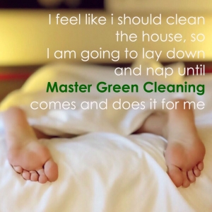 Chicago Master Green Cleaning
