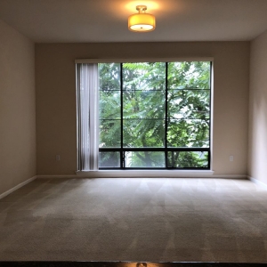 Milpitas Ersova House & Carpet Cleaning