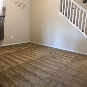 Photo of Green Carpet Cleaning Pros