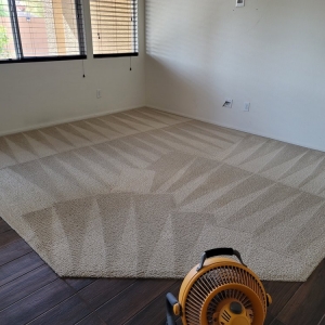 Photo of Green Carpet Cleaning Pros