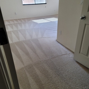 Photo of Green Carpet Cleaning Pros