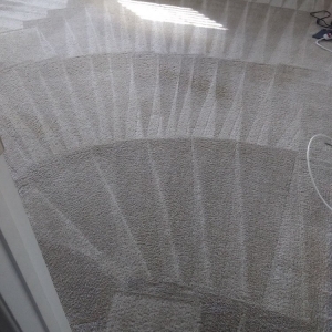 Photo of Green Carpet Cleaning Pros