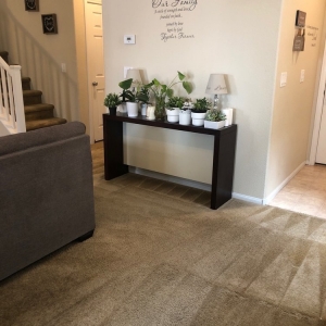 Photo of Green Carpet Cleaning Pros