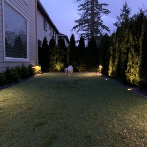 Photo of Nature Breeze Landscaping & Hardscape