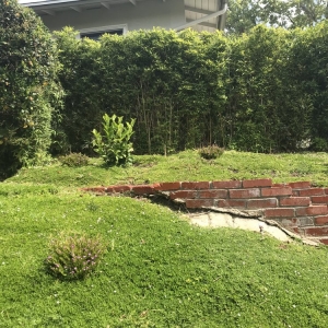 Photo of Waterwise Landscapes