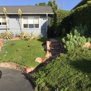 Photo of Waterwise Landscapes