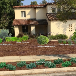 Photo of Waterwise Landscapes