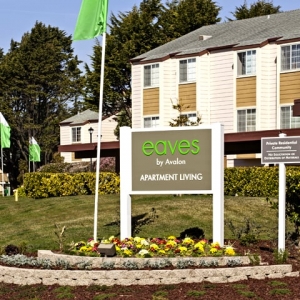 Photo of eaves Pacifica