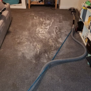 Photo of FL Carpet cleaners
