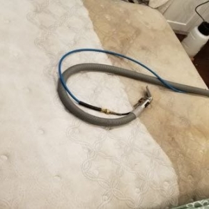 Photo of FL Carpet cleaners