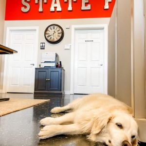 Photo of Ashley Berry - State Farm Insurance Agent