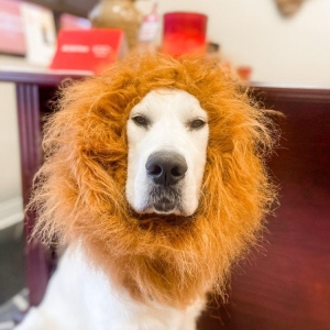 Photo of Ashley Berry - State Farm Insurance Agent